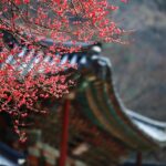 credit score foreigner Korea - Finance