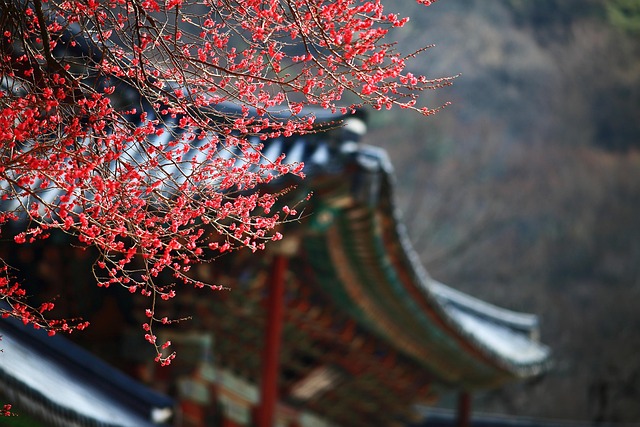 credit score foreigner Korea - Finance